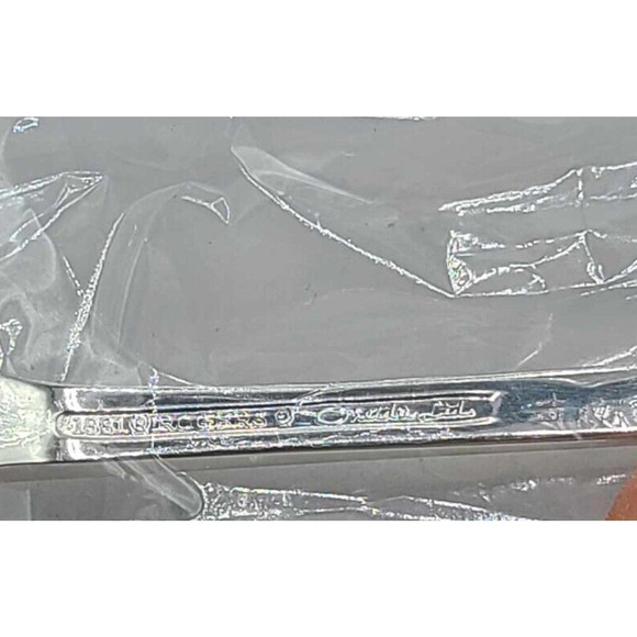 New! Vintage 1881 Rogers Oneida Silver Plated Bicentennial Cake Dessert Server - Picture 2 of 10